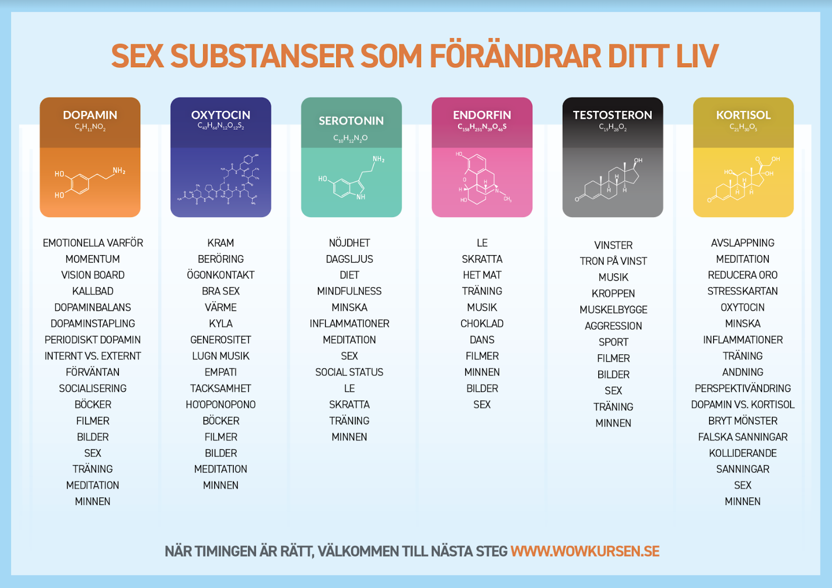 Sex Substanser Infograf Wow Kursen 2138